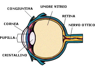 occhio